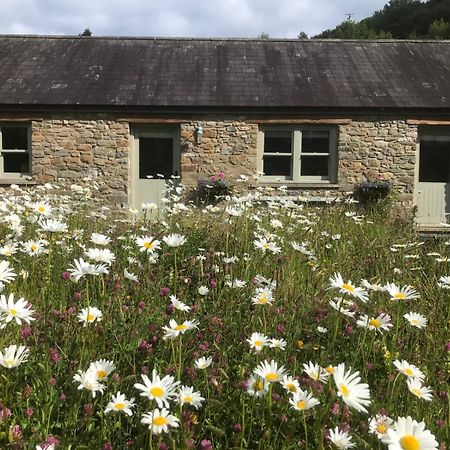 Danygraig Cottage Carmarthen Esterno foto