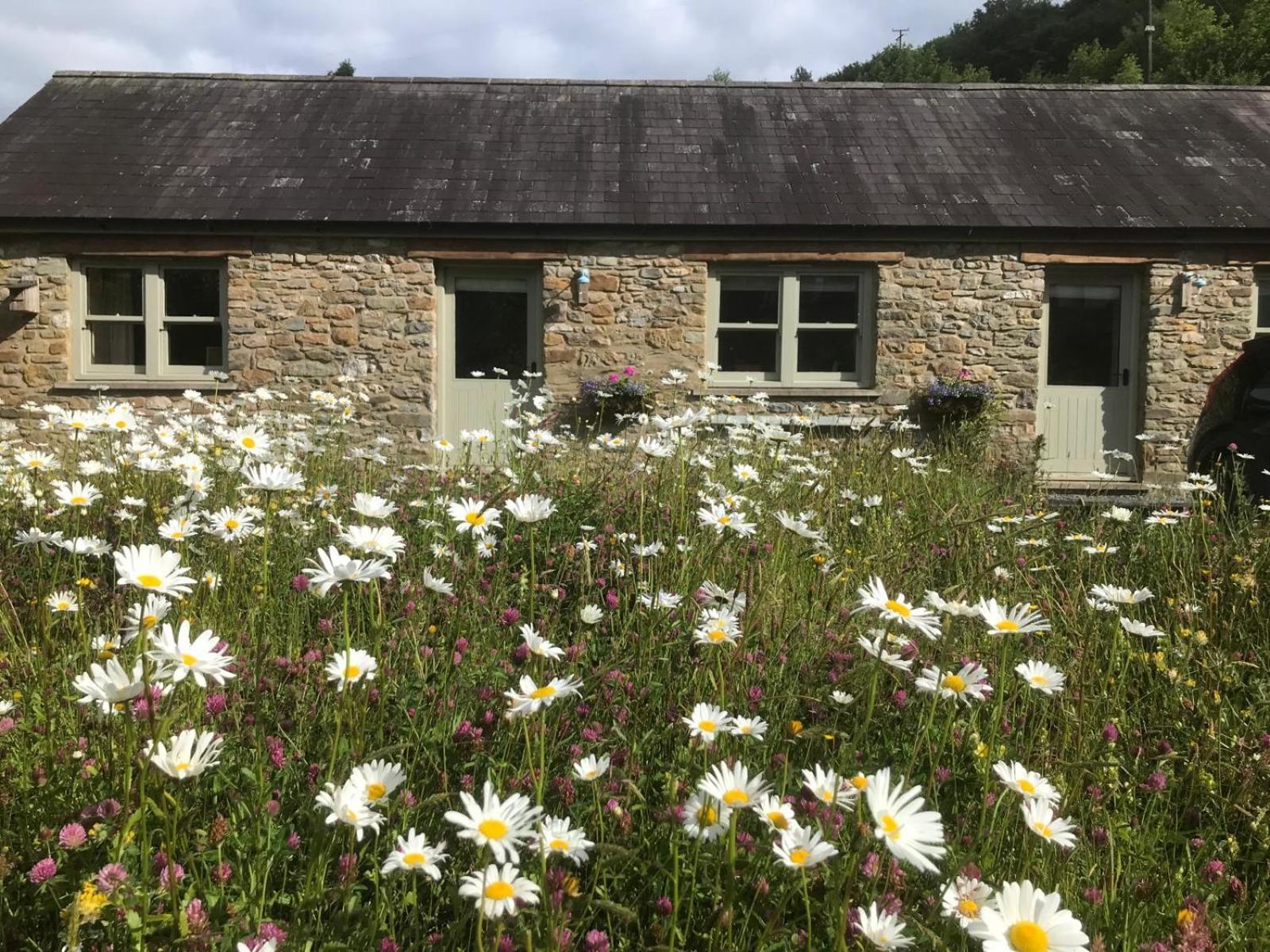 Danygraig Cottage Carmarthen Esterno foto