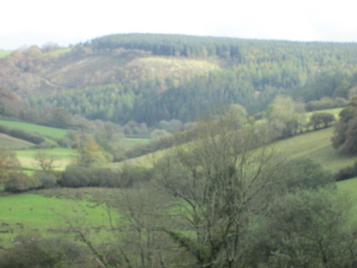 Danygraig Cottage Carmarthen Esterno foto